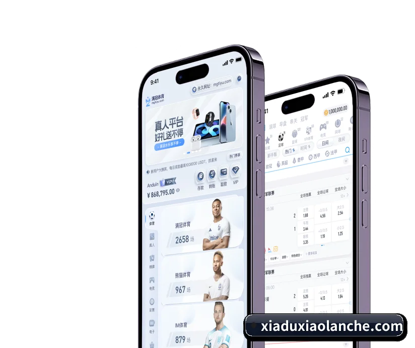 K体育 APP